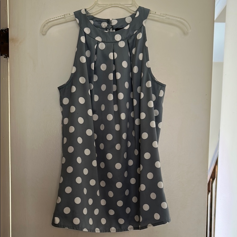 The Limited Sleeveless Blouse